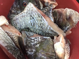 清蒸鱼(时间煮雨)